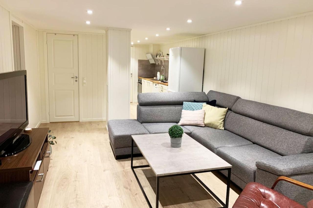 Newly Renovated Basement Apartment Sarpsborg Bagian luar foto